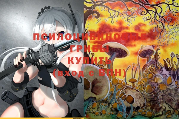 a pvp Медвежьегорск