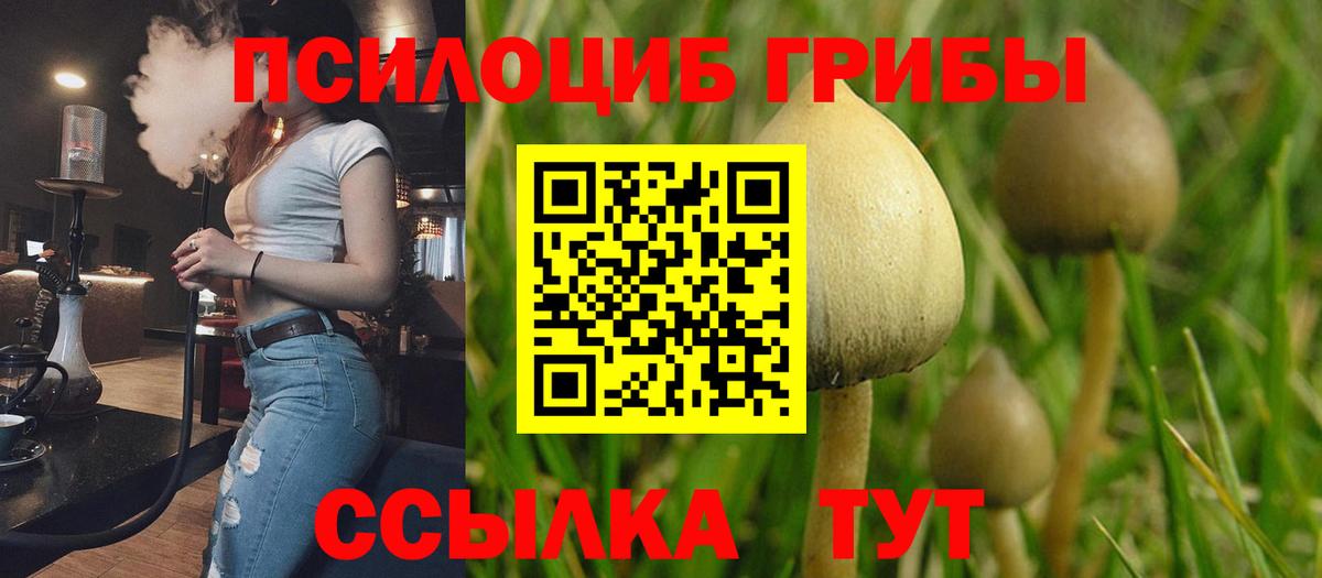 Стерлитамак  Галлюциногенные грибы Cubensis  Вход с VPN 