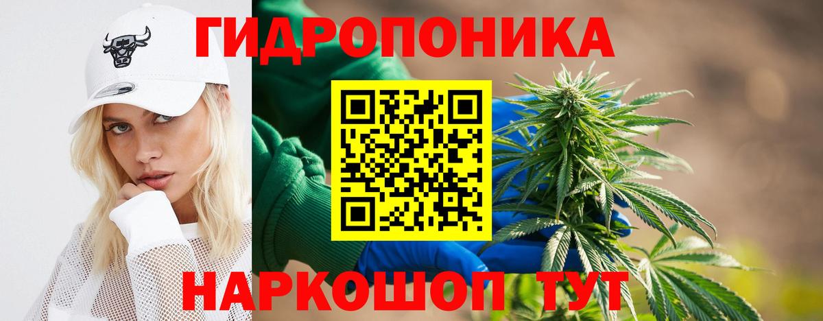 Конопля OG Kush Стерлитамак
